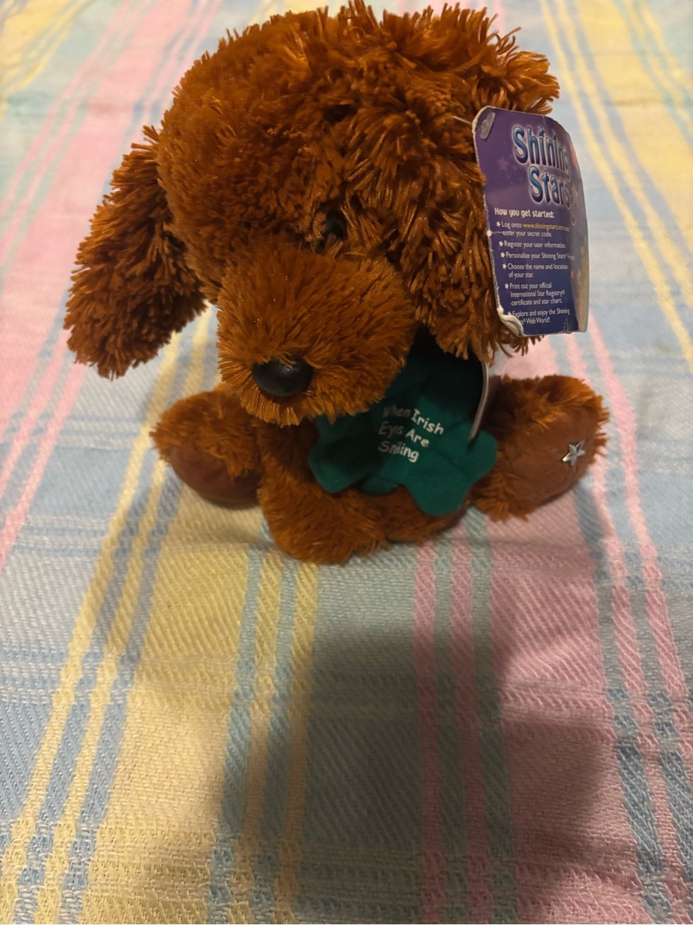 🔴 RARE RUSS Shining Stars IRISH settler dog with code